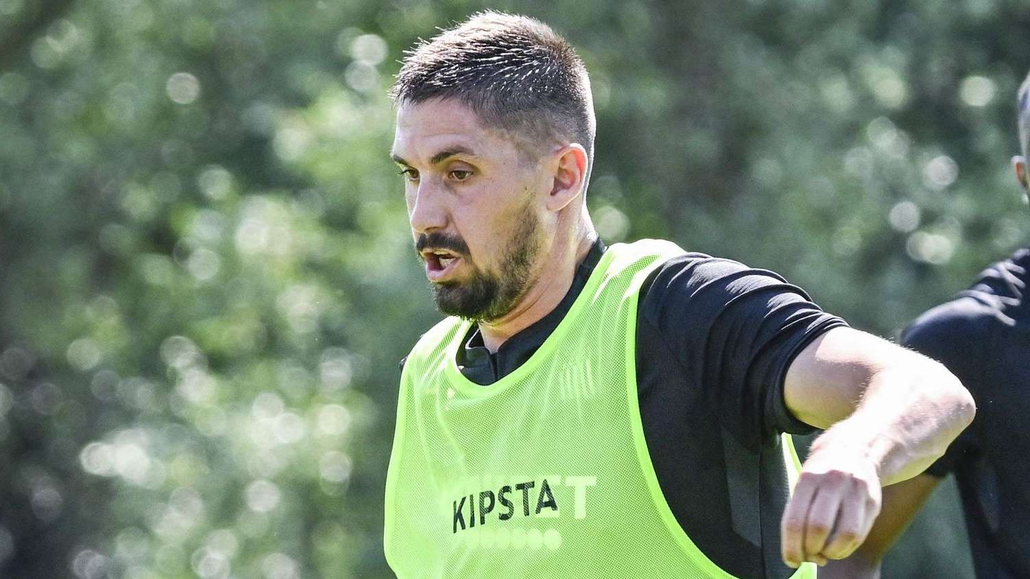 不仅突显德 不仅突显德